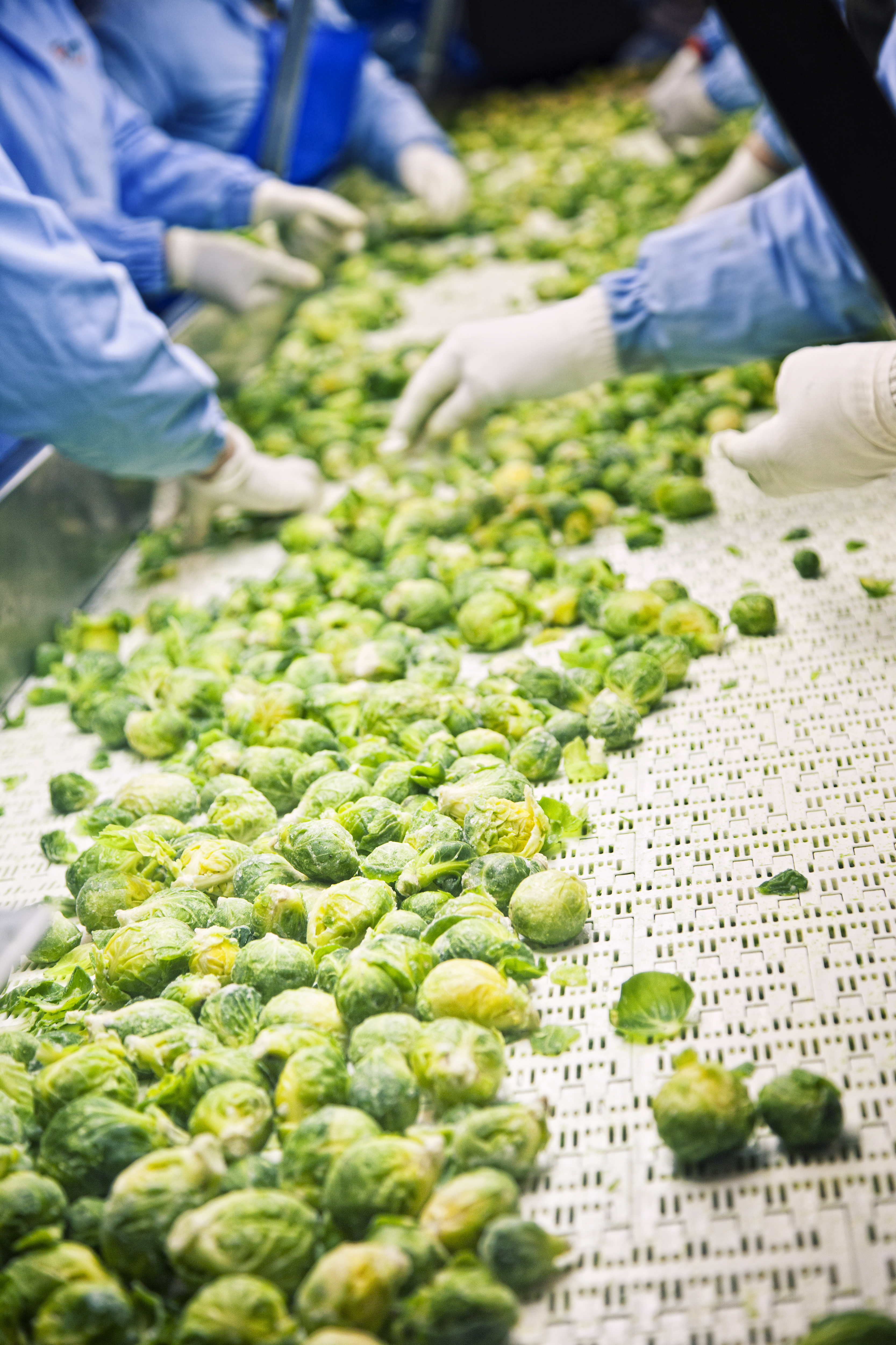 fsma-food-processing