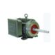 Picture of .5036ES1E143JP WEG