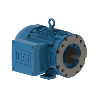 Picture of 00158XT3E145TC WEG